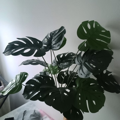 Elbląg Sprzedam sztuczną Monsterę o wysokości 80 cm z 24 liśćmi, każdy o średnicy 20 cm. Roślina doskonale imitująca