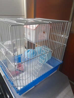 Elbląg Klatka dla gryzonia nowa komplet. dodatkowo kula do zabawy