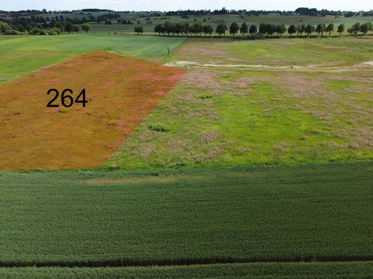 Elbląg NIERUCHOMOŚCI ANNA KRASZEWSKA Działka budowlana o pow.9645 m2 na nowopowstającym osiedlu domów