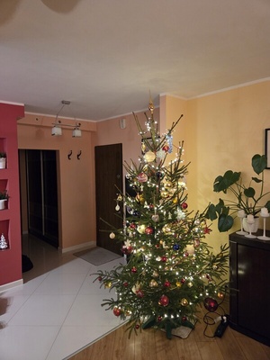 Elbląg Sprzedam mieszkanie 2 pokoje Nad Jarem