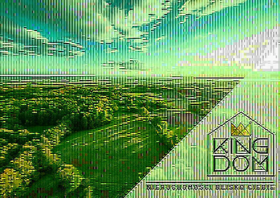 Elbląg 👑🏠  KINGDOM  🏠👑NIERUCHOMOŚCI BLISKO CIEBIEDUŻA DZIAŁKA POD ZABUDOWĘ