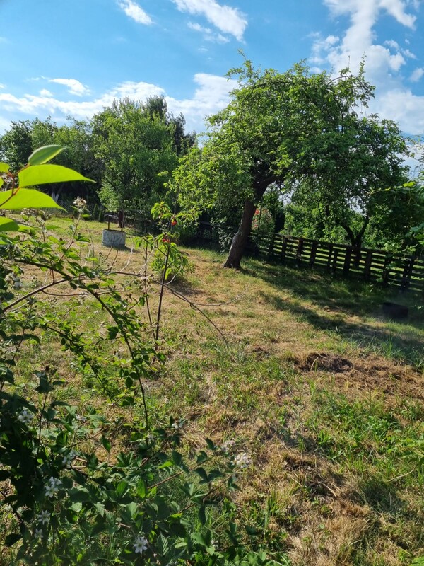 Elbląg DZIAŁKA ROD 240m2 SAPERÓW cena: 8000 zł