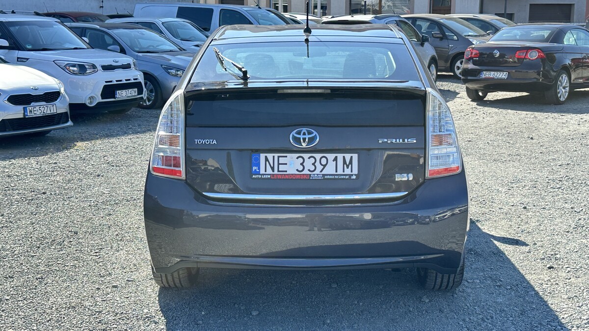 Elbląg Auto Leew LEWANDOWSKI