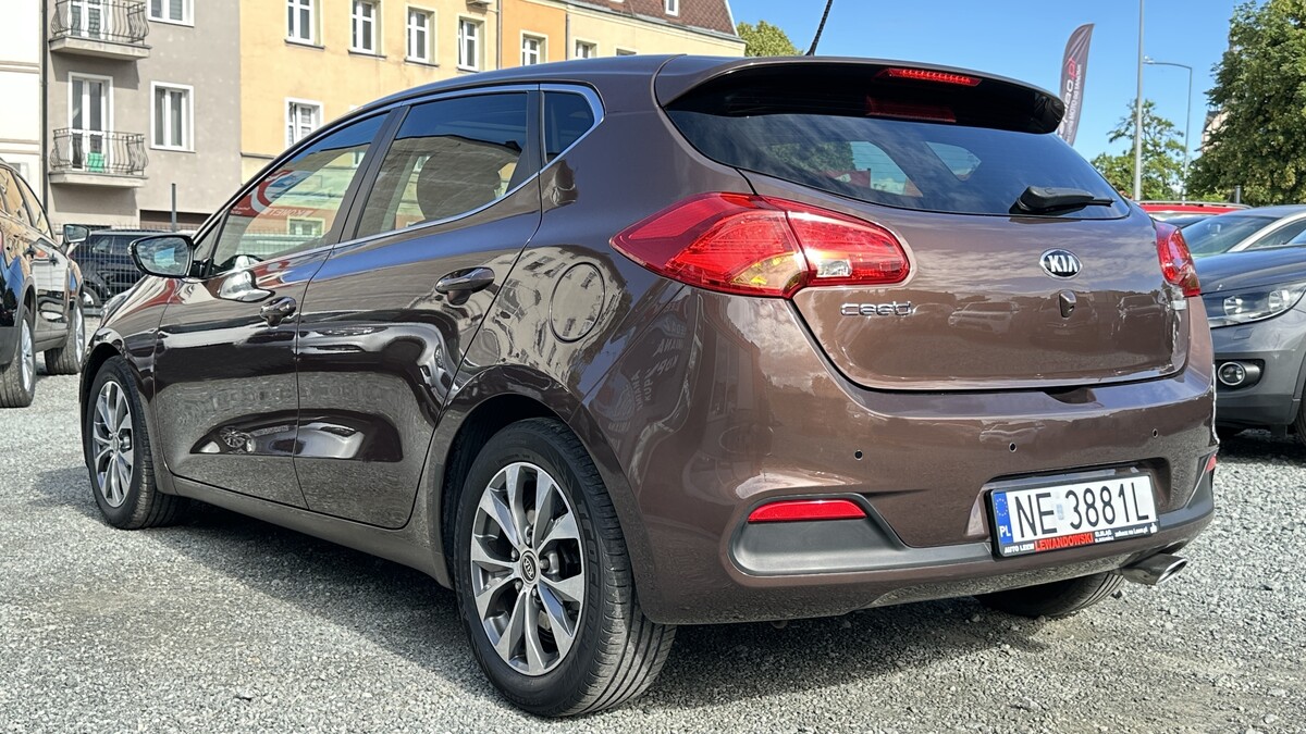 Elbląg Auto Leew LEWANDOWSKI