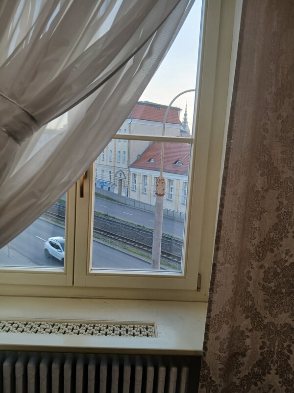 Elbląg PAŁACYK ZACISZE - zabytkowy, klimatyczny budynek w centrum miasta - kompleksowe rozwiązanie dla Twojej firmy!-