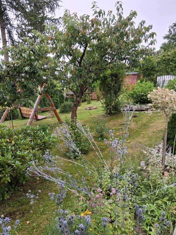 Elbląg Sprzedam działkę ROD SKOWRONEK ul. Okrężna. Na działce jest woda i prąd. Altana zadbana nowy dach więcej