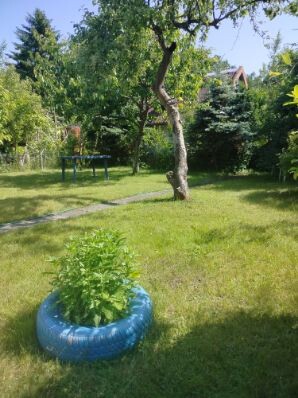 Elbląg Sprzedam działkę ROD Okólnik w Elblągu o powierzchni 290 m kw. która mieści się z dala od zgiełku pod samym