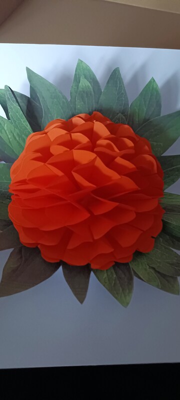 Elbląg Dzień dobry,
W ramach hobby wykonuje z papieru kartki okolicznościowe, origami modułowe 3d.
Poszukujesz
