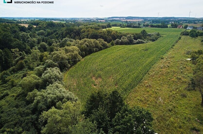 Elbląg LEVEL NIERUCHOMOŚCI Działka z MPZM w Pasłeku Tereny zabudowy mieszkaniowej jednorodzinnej2017