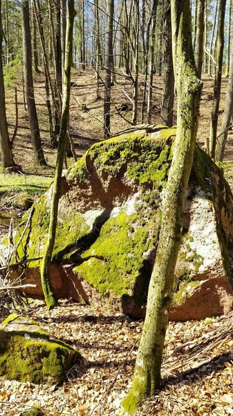 Elbląg Sprzedam piękną działkę z możliwością budowy!!!