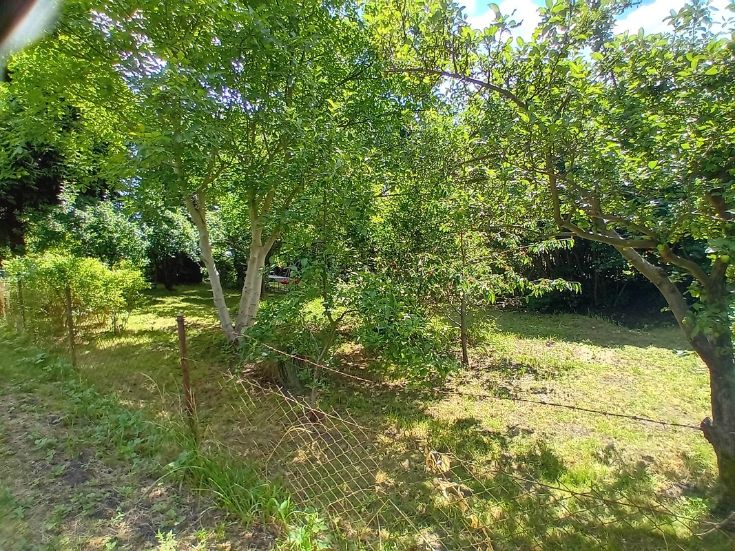 Elbląg 🌳 Wyjątkowo duża, piękna działka z altanką w okazyjnej cenie w ROD Moniuszki przy Parku Wodnym