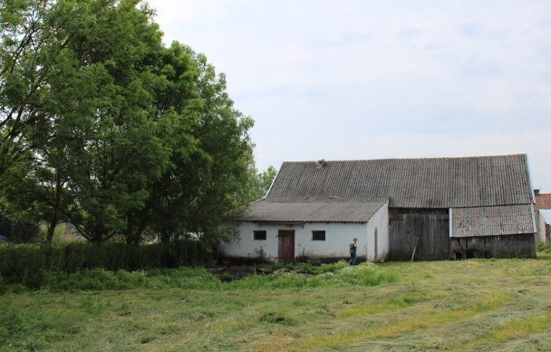 Elbląg Siedlisko na sprzedaż – Nowe Dolno, powiat elbląski