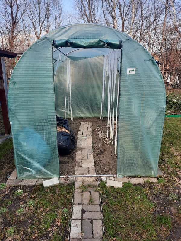 Elbląg Sprzedam działkę rod im. Kopernika na ul. Debowej, o powierzchni 300m², murowana altanka, wiata pod grilla