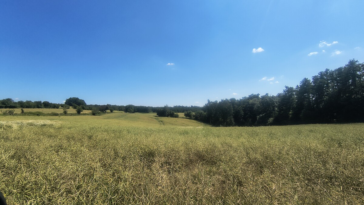 Elbląg Działki rolno-budowlane 10ha, widok na Zalew Wiślany, 30zł/m2!