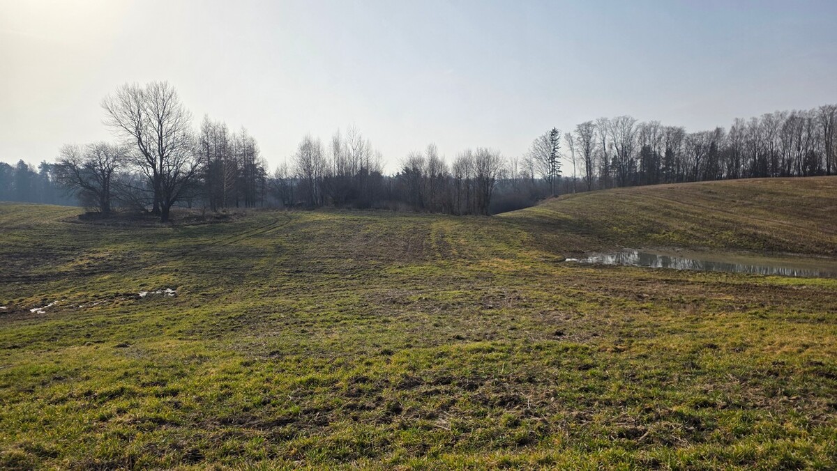 Elbląg SZULC & SZULC BIURO NIERUCHOMOŚCI NA SPRZEDAŻDziałka budowlana - Stare Monasterzysko