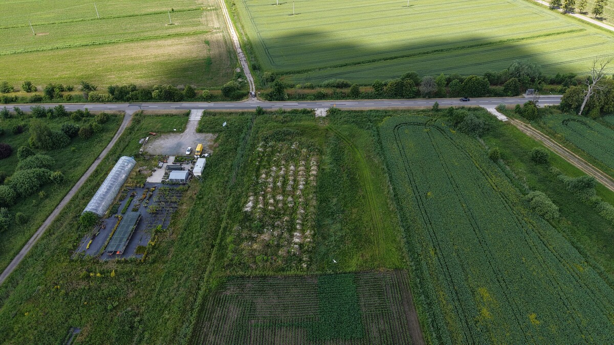 Elbląg WGN Nieruchomości oddział Elbląg prezentuje Państwu działkę przemysłową w Elblągu przy ul. Mazurskiej o