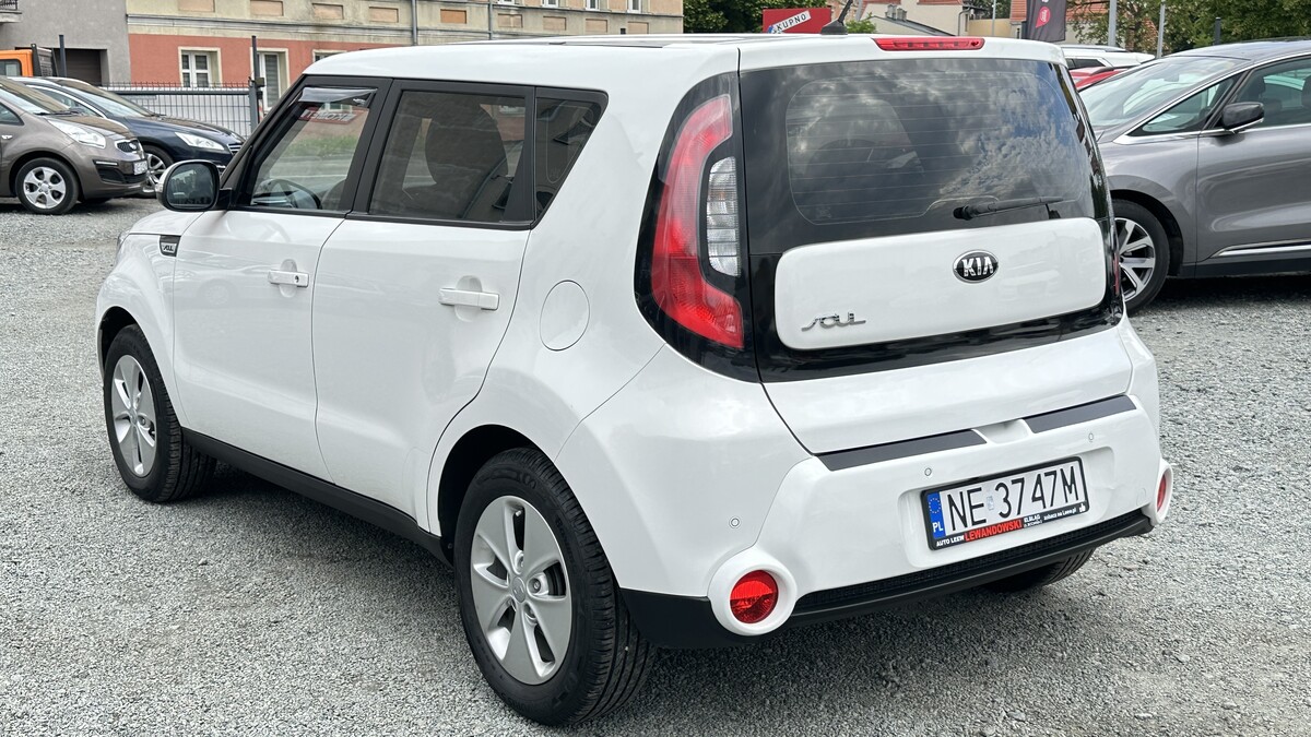 Elbląg Auto LeewLEWANDOWSKI