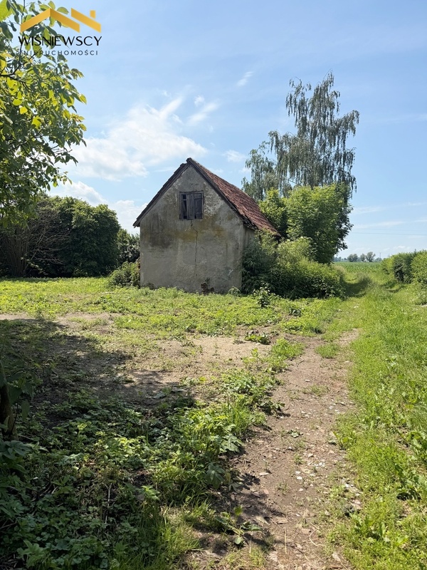 Elbląg WIŚNIEWSCY NIERUCHOMOŚCI Sp. z o.o.Sprzedam działkę - Drużno. OFERTA
Na sprzedaż działka o powierzchni