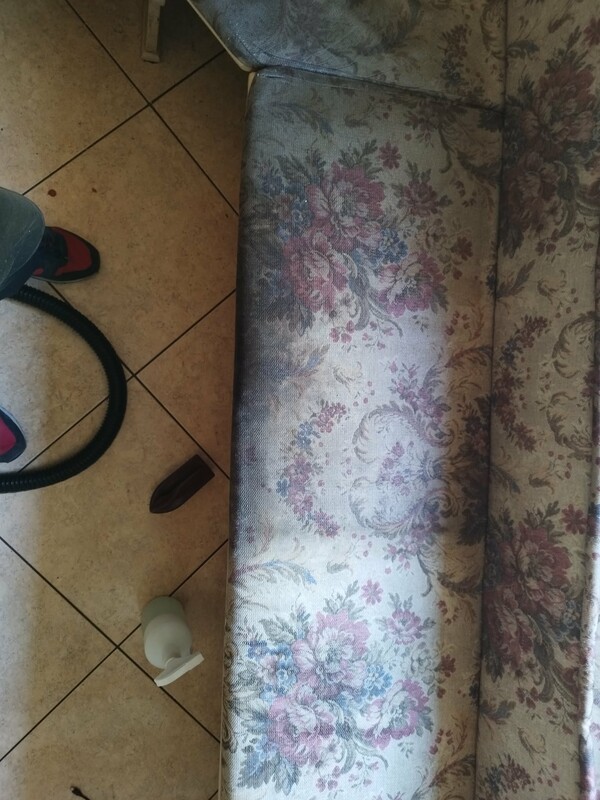 Elbląg 🌟 Profesjonalne czyszczenie dywanów, wykładzin, obić tapicerskich - RITTA Świeżość i blask