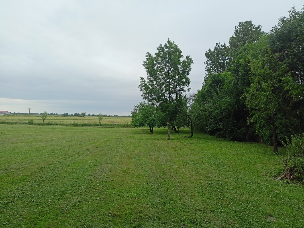 Elbląg 🏡 SPRZEDAM DOM Z DUŻĄ DZIAŁKĄ 🌳