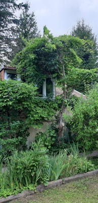 Elbląg Sprzedam ogródek działkowy ROD Słoneczne Wzgórze w Elblągu