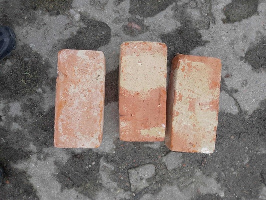 Elbląg Sprzedam twarda cegle z budynku mieszkalnego