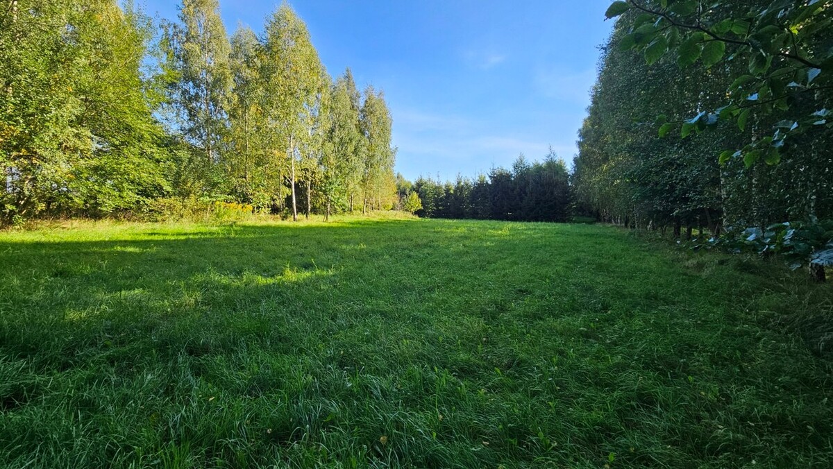 Elbląg BIURO NIERUCHOMOŚCISZULC& SZULCDziałka budowlana - Kamiennik Wielki, gmina MilejewoPowierzchnia - 3034 m2Na