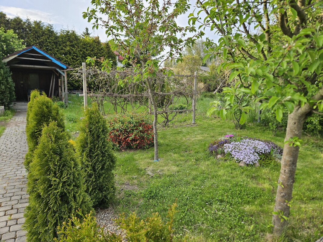 Elbląg Dzialka ROD im Kopernika przy ul. Klonowej. Działka zadbana i ogrodzona, z dostępem do prądu i wody.
Na