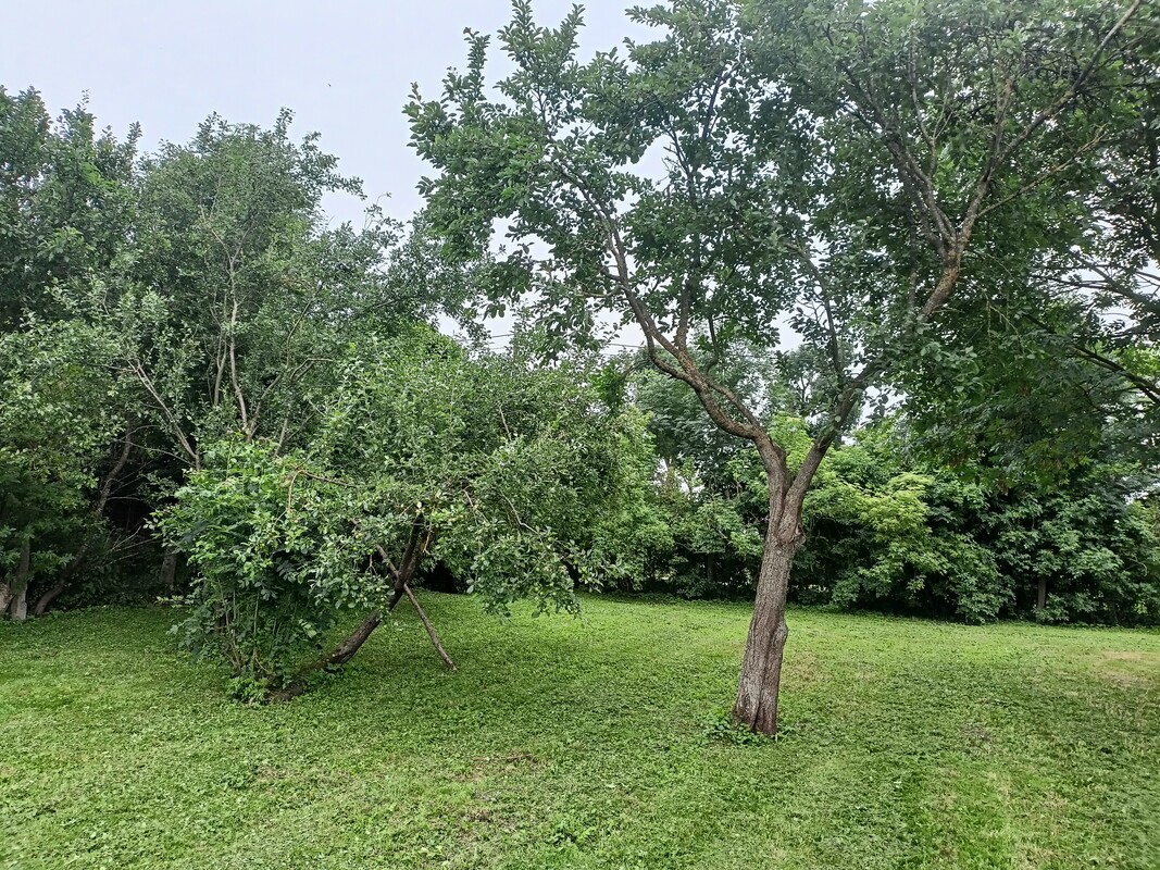 Elbląg 🏡 SPRZEDAM DOM Z DUŻĄ DZIAŁKĄ 🌳