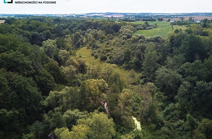 Elbląg LEVEL NIERUCHOMOŚCI Działka z MPZM w Pasłeku Tereny zabudowy mieszkaniowej jednorodzinnej2017