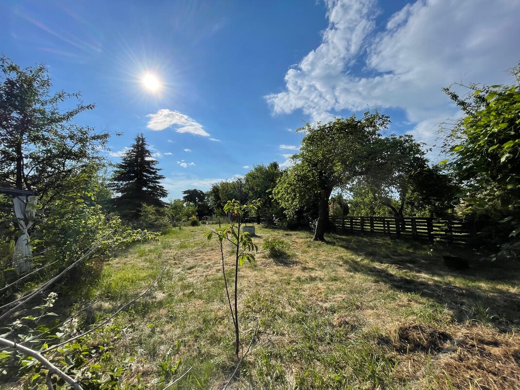 Elbląg DZIAŁKA ROD 240m2 SAPERÓW cena: 8000 zł