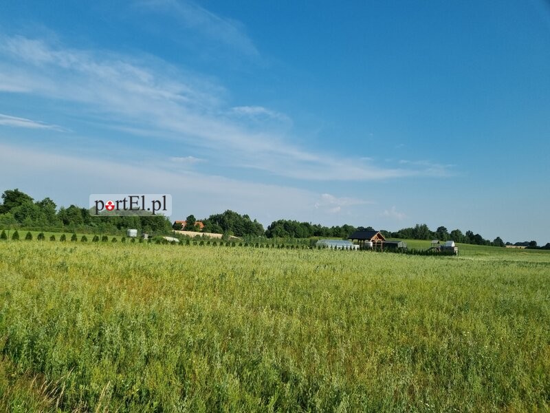 Elbląg Duża działka 3000 m2- blisko Elbląga- dojazd asfaltowy- Wysoczyzna Elbląska- w sąsiedztwie zabudowa