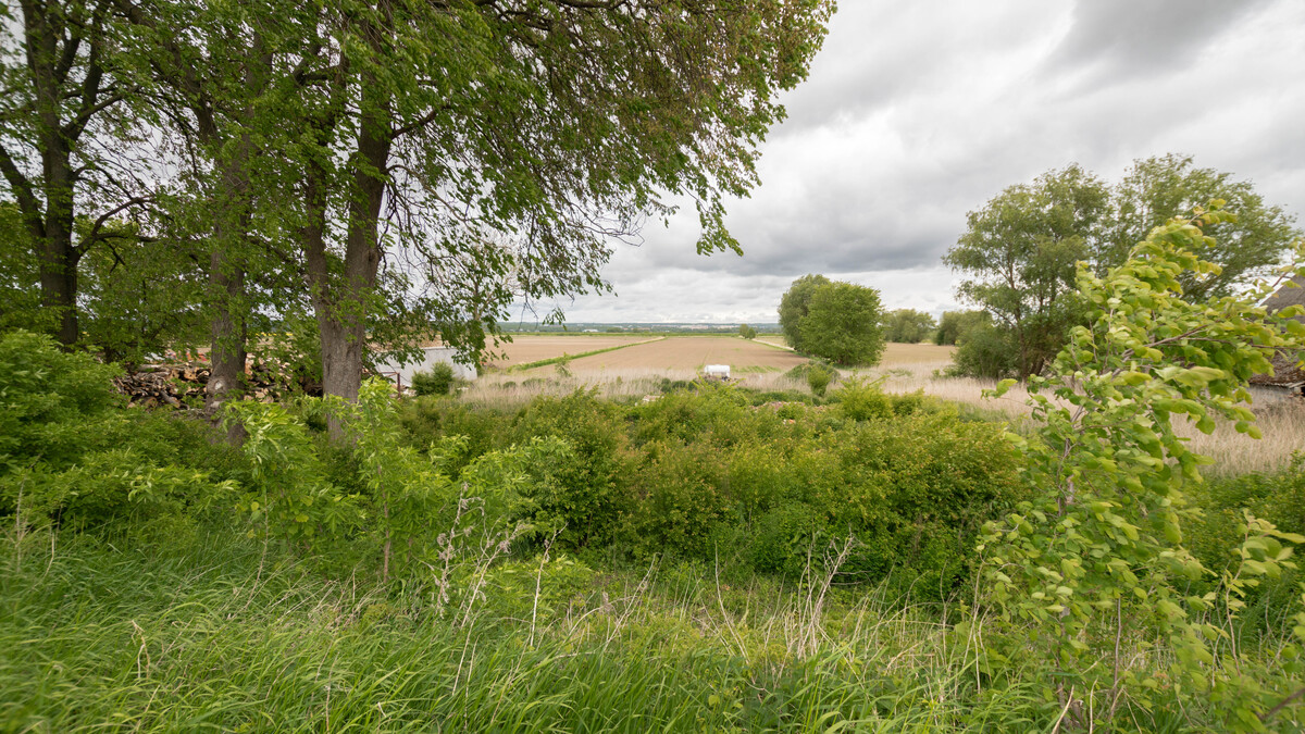 Elbląg * * * ABC NIERUCHOMOŚCI * * * POLECAMY ŚWIETNĄ DZIAŁKĘ W NIEDALEKIEJ ODLEGŁOŚCI OD ELBLĄGAo pow. 3011m2z