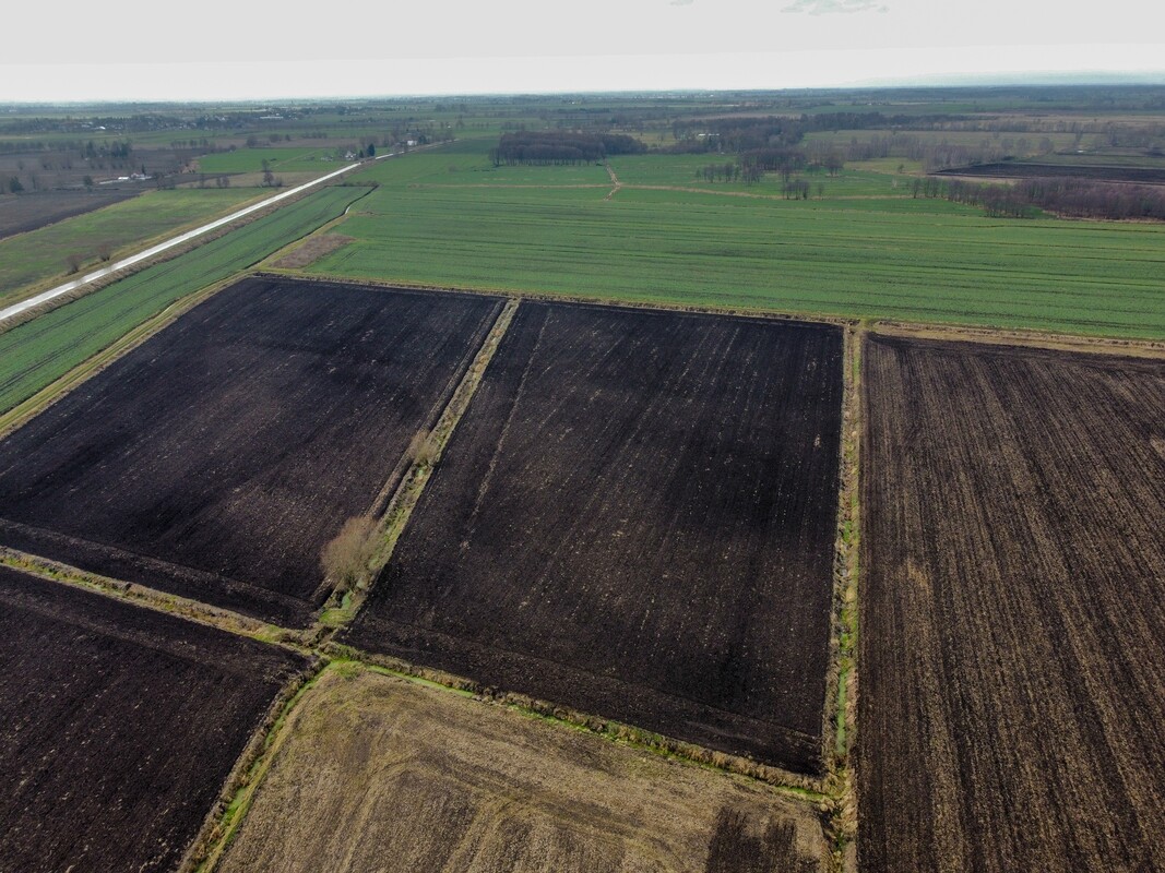 Elbląg NIERUCHOMOŚCI ANNA KRASZEWSKAGrunty rolne na sprzedaż 11,65 haSzopy, gm. Gronowo Elbląskie, powiat elbląski