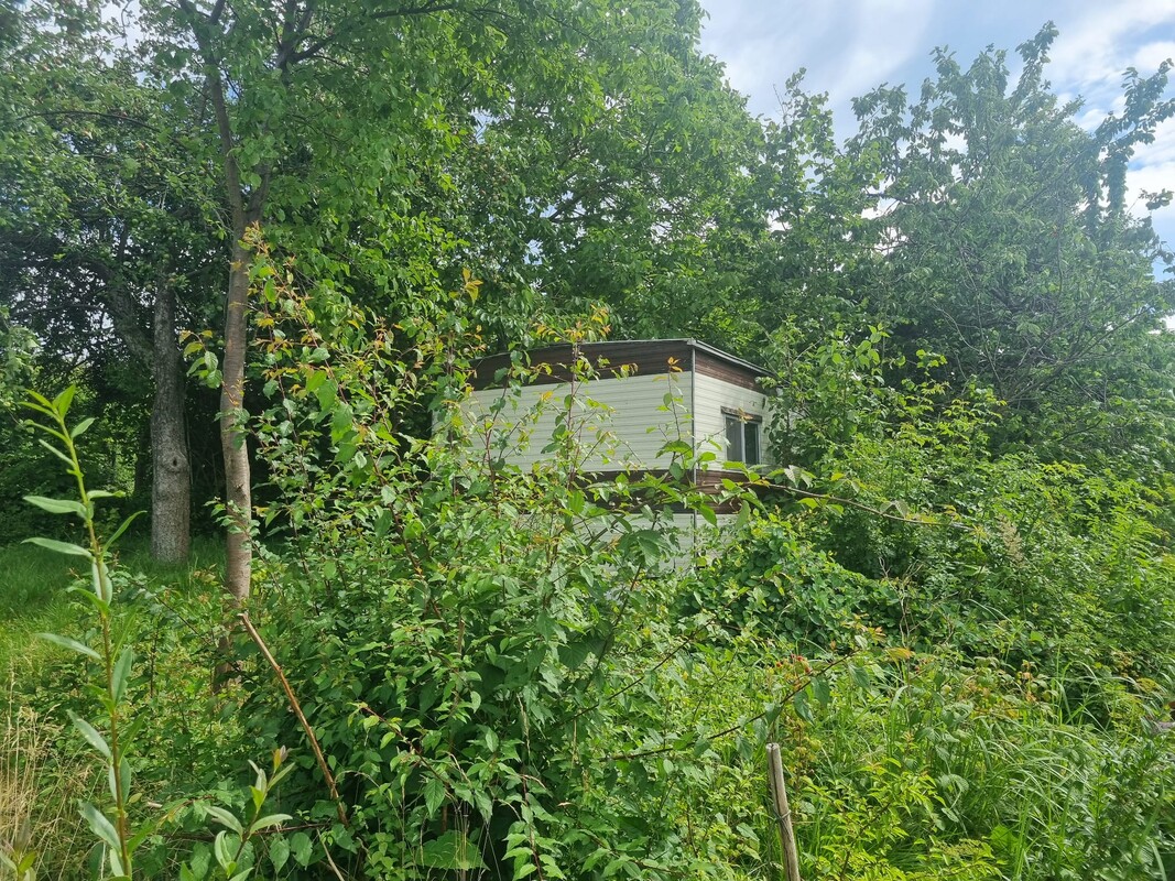 Elbląg 🌳 Sprzedam działkę ROD przy ul. Kościuszki 46 🌞Powierzchnia: 330 mkw | Prąd
