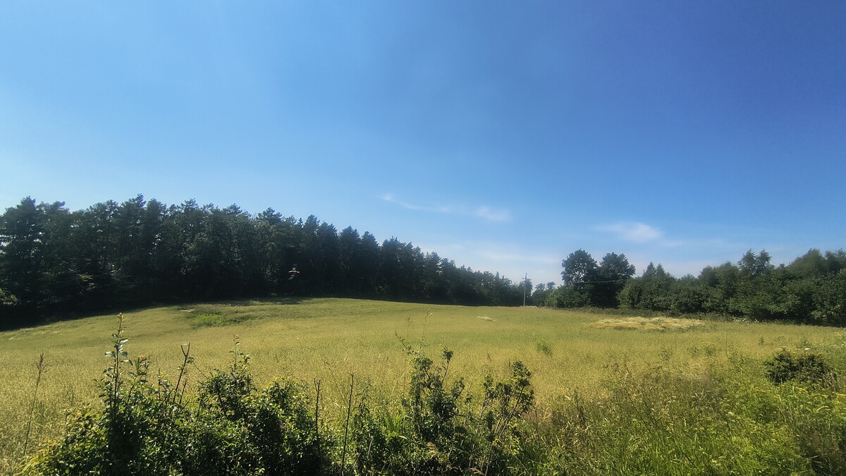 Elbląg Działki rolno-budowlane 10ha, widok na Zalew Wiślany, 30zł/m2!