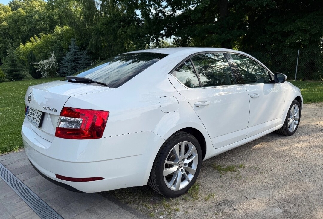 Elbląg Sprzedam Skodę Octavię III w wersji style grudzień 2017 2.0 tdi 150KM Przegląd i OC aktualne po wymianie