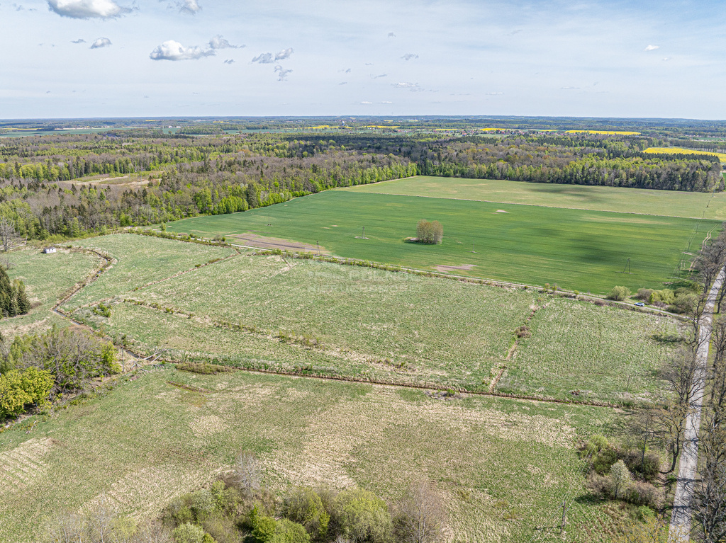 Elbląg PÓŁNOC NIERUCHOMOŚCISprzedam działkę - Pierławki. Na sprzedaż oferujemy grunt o łącznej powierzchni 6,2683