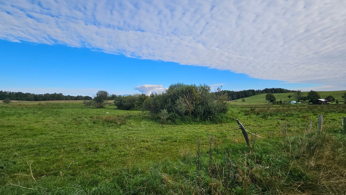 Elbląg BIURO NIERUCHOMOŚCISZULC& SZULCDziałka budowlana - Majewo /gmina Milejewo/Powierzchnia działki: 3000