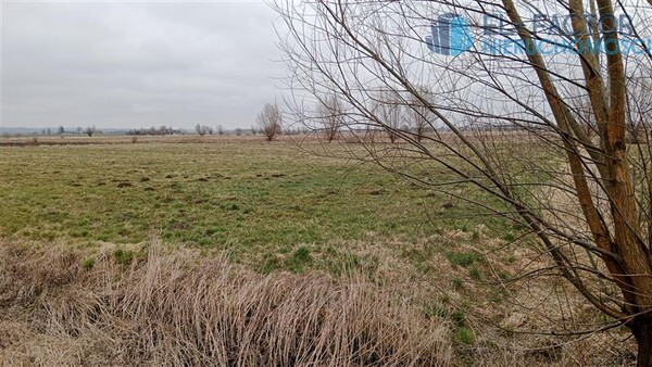 Elbląg EL-FACTOR NieruchomościSprzedam działkę - Dłużyna, brak.&nbsp;Działki budowlane w Dłużynie pod Elblągiem – Twój