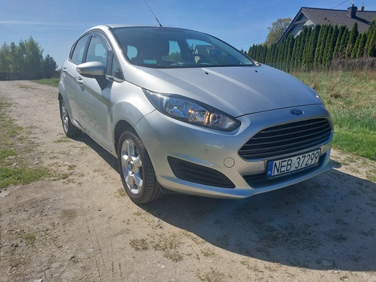 Elbląg Ford Fiesta Trend Mk.7 z 2014 roku z 1.25 Duratec