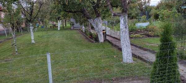 Elbląg SPRZEDAM DZIAŁKĘ ROD ŻWIRKI I WIGURY UL. SKRZYDLATA, ELBLĄG