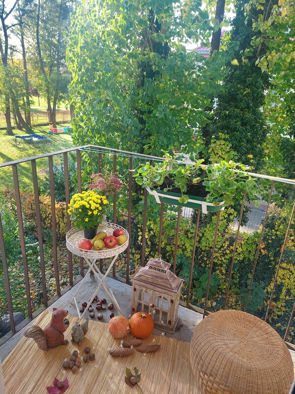 Elbląg Prestiż, cisza I zieleń 1 piętro, balkon
PRYWATNA SPRZEDAZ