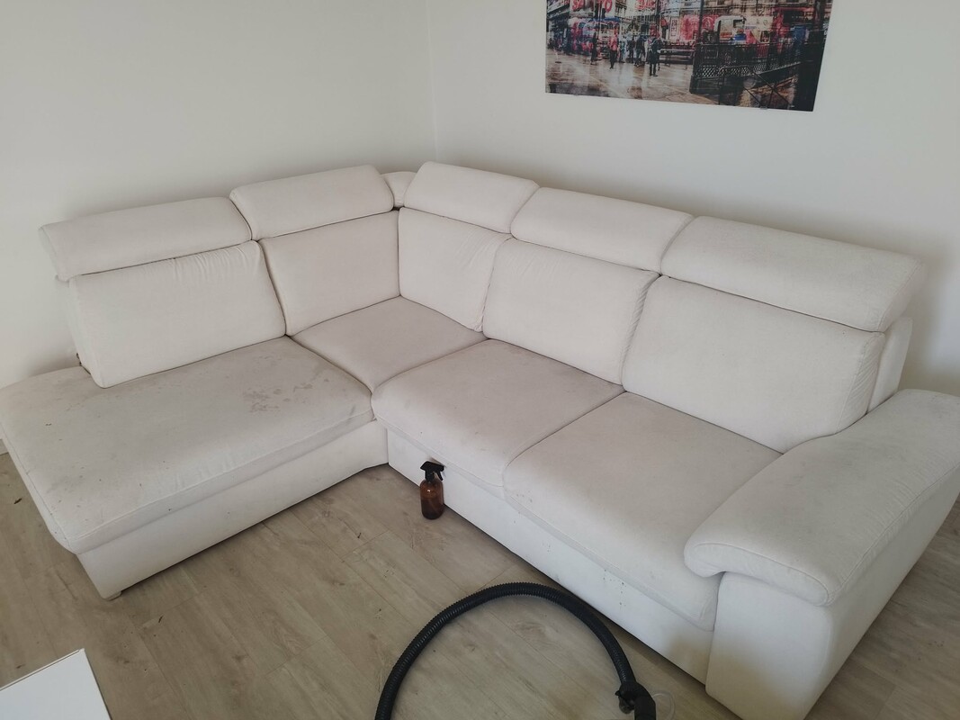 Elbląg 🌟 Profesjonalne czyszczenie dywanów, wykładzin, obić tapicerskich - RITTA Świeżość i blask