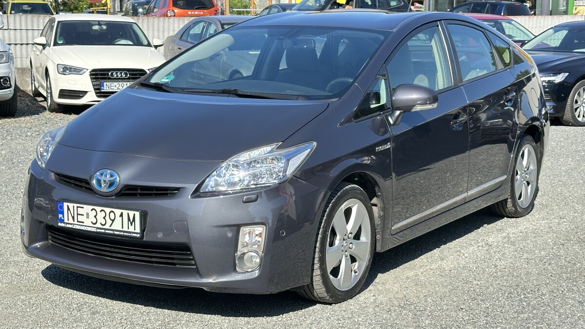 Elbląg Auto Leew LEWANDOWSKI