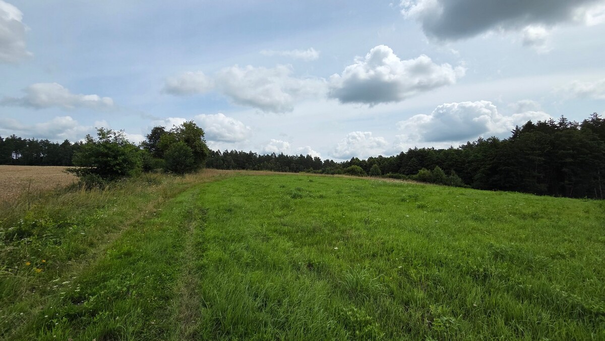 Elbląg SZULC & SZULC BIURO NIERUCHOMOŚCINA SPREDAŻ Działka budowlana - Błudowo gmina Młynary