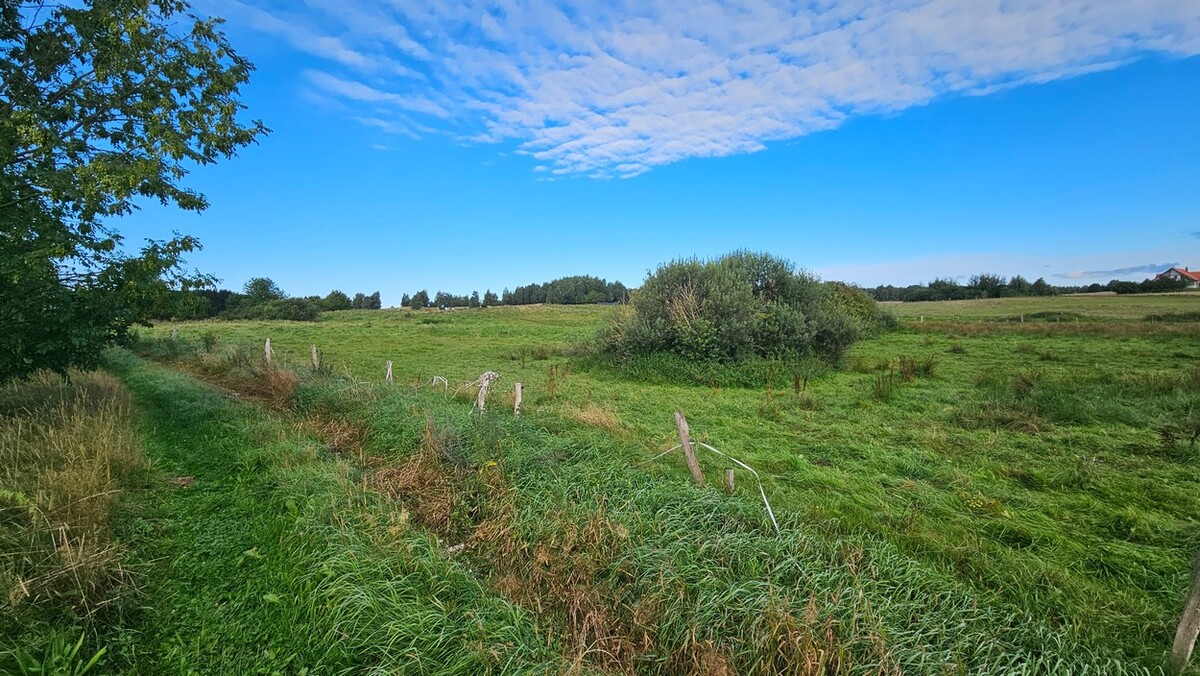Elbląg BIURO NIERUCHOMOŚCISZULC& SZULCDziałka budowlana - Majewo /gmina Milejewo/Powierzchnia działki: 3000