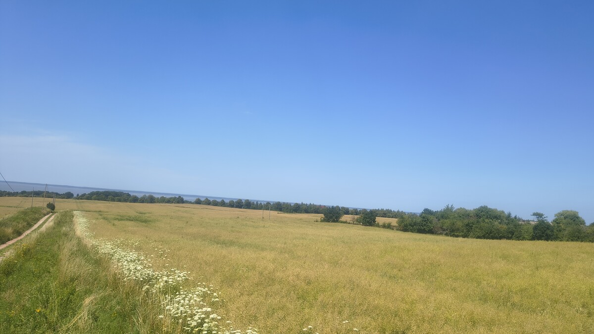 Elbląg Działki rolno-budowlane 10ha, widok na Zalew Wiślany, 30zł/m2!