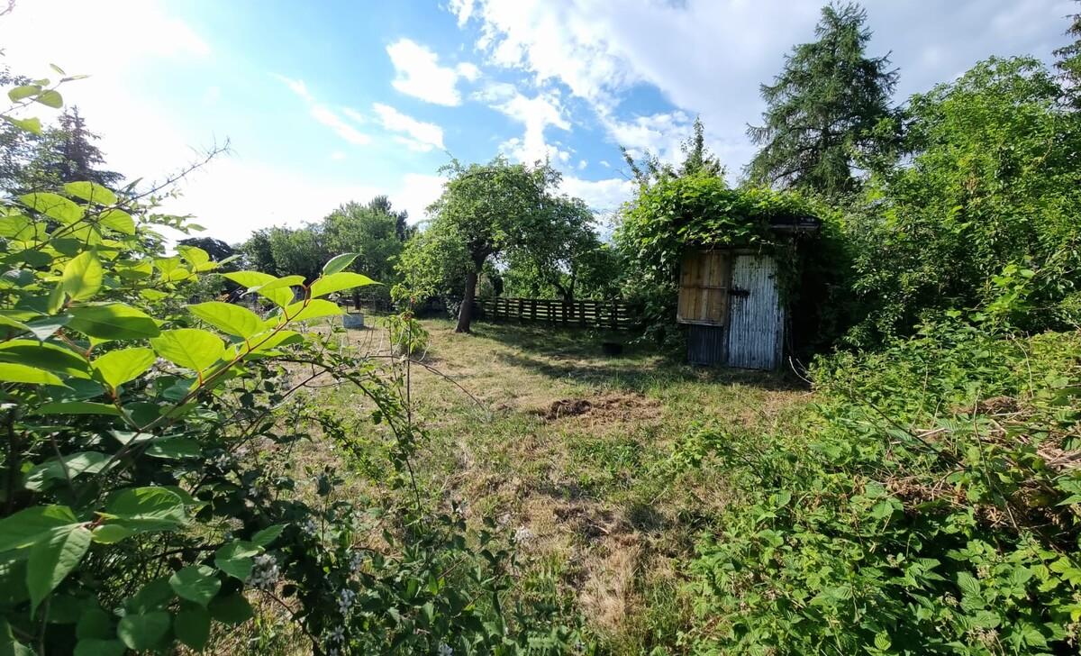 Elbląg DZIAŁKA ROD 240m2 SAPERÓW cena: 8000 zł