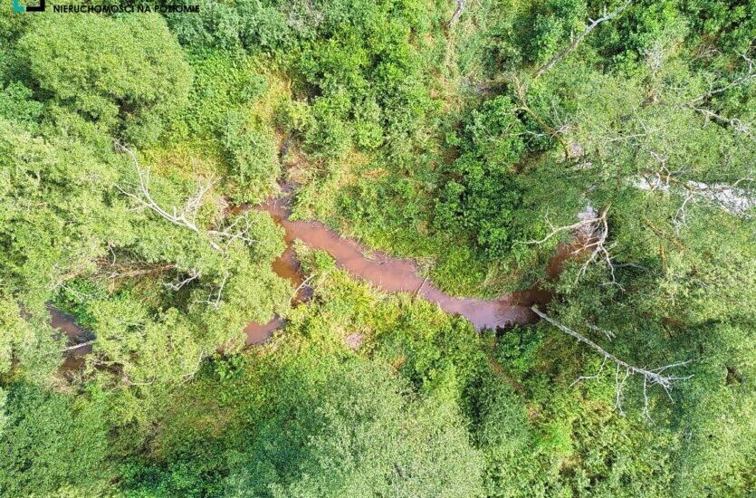Elbląg LEVEL NIERUCHOMOŚCI Działka z MPZM w Pasłeku Tereny zabudowy mieszkaniowej jednorodzinnej2017